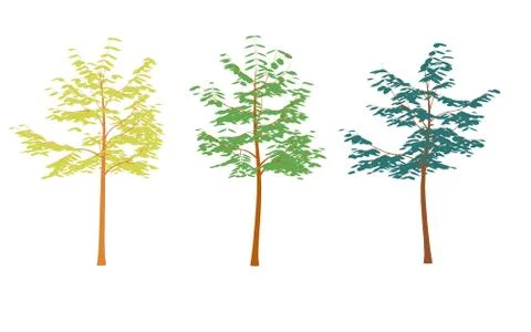 Different colored trees in flat design.Set isolated on white Stock Illustration