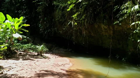 Different colors can be seen in the water of a tropical stream Video stock 234961633