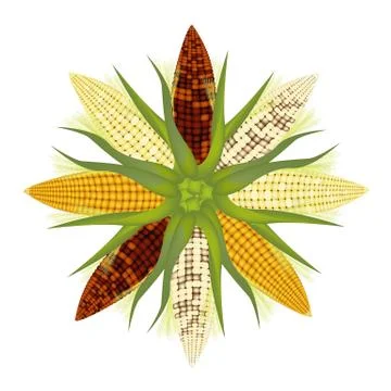 Different Colors of Corn Forming A Round Shape Stockillustratie
