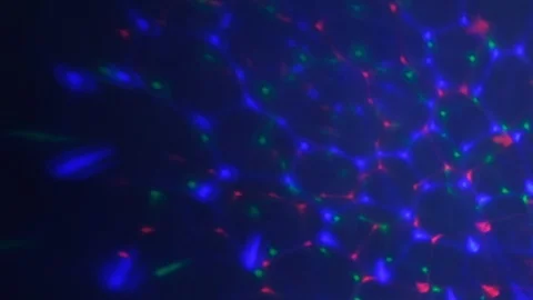 Different colors follow each other. Retro Rotating Oldschool Vintage Sun Rays Video stock 124204531