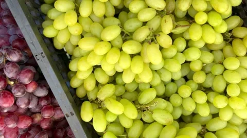 Different colors grapes Stock Footage 292928337