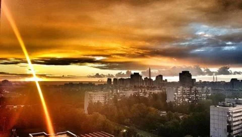 Different colors  of nature 스톡 사진