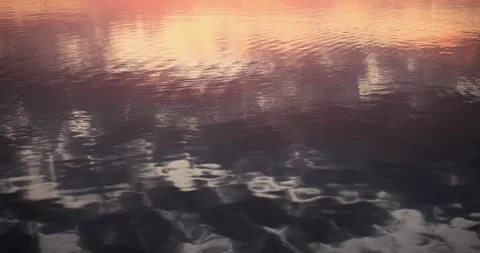 Different Colors of the Perfect Lake in the Evening Sunlight 库存影片 247058064