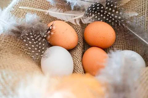 Different coloured eggs with feathers lying on a jute bag Stock Photos