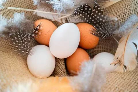 Different coloured eggs with feathers lying on a jute bag Stock-Fotos