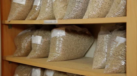 Different corns in bio laboratory for experiment Stock Footage 63614833