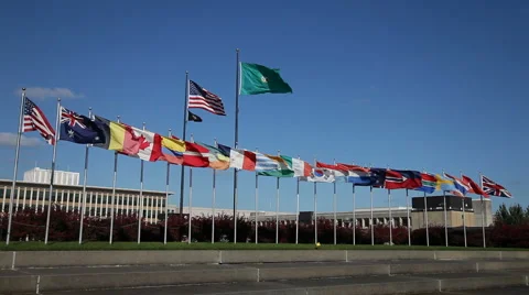 Different countries flags Stock Footage 2814097