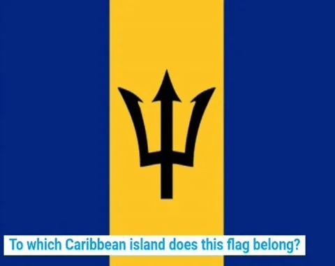 Different country flags slow motion Stock Footage 169194944