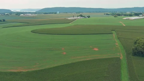Different Crops Growing in Fields Aerial 스톡 동영상 159437816