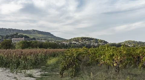 Different crops side by side in the southern Rhone Stock Photos