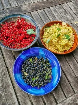 Different currant berries on a table Stock Photos