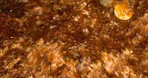 Different Cyrptocurrency Coins Falling Down Stock Footage 129079752