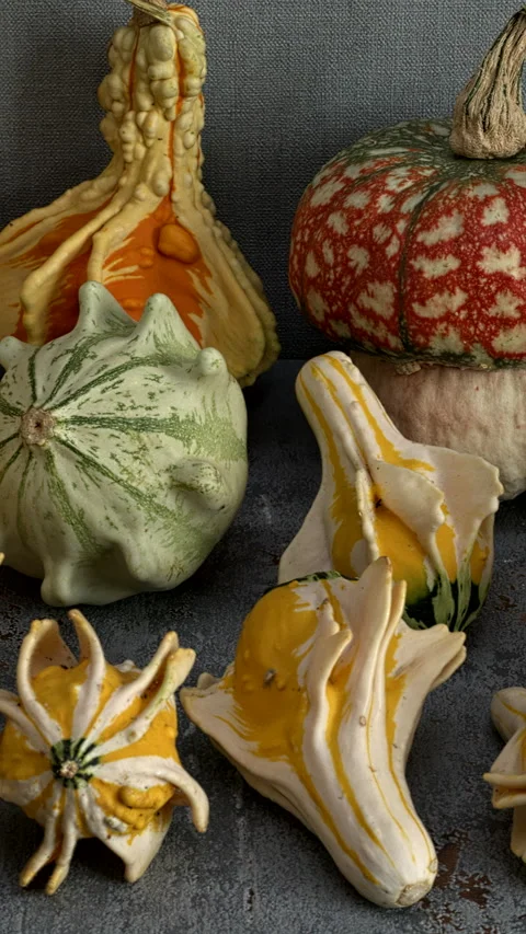 Different decorative gourds. Camera slide, vertical video. Stock-Footage 284274919