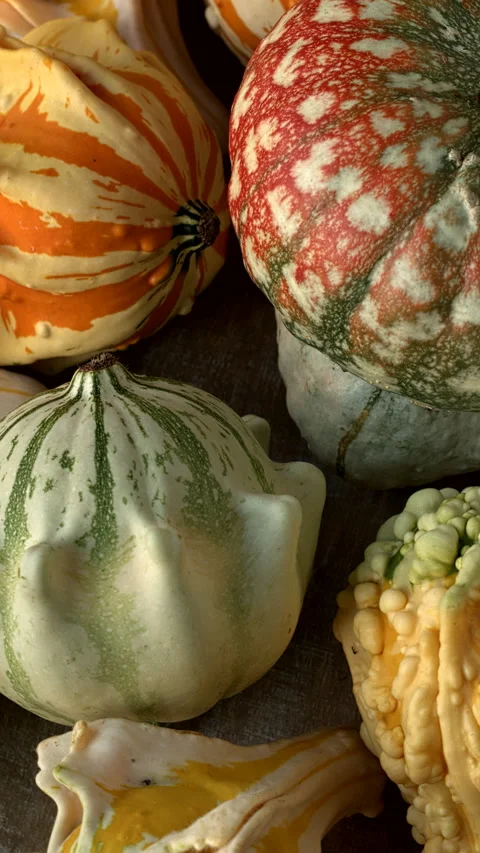 Different decorative gourds. Vertical video. Video stock 283453046