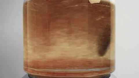 Different density liquids in glass jar stirred together and then separate Stock Footage 168495536