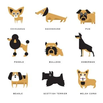 Different dogs breeds characters set of vector Illustrations and lettering breed Illustrazione stock