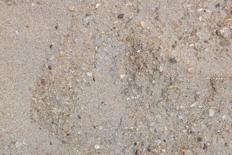 Different earth textures Foto stock