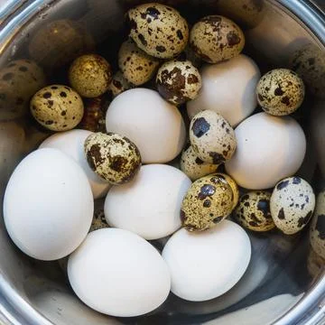 Different eggs background. Quail eggs on white dish, There are many sizes and Stock Photos