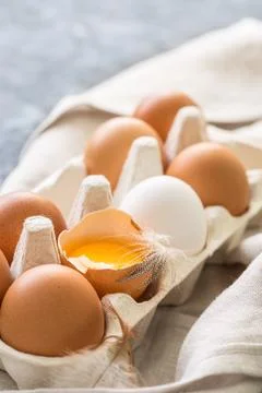 Different eggs in carton pack  on dark  table Stock Photos
