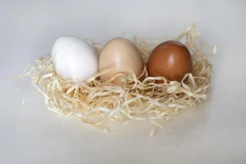Different eggs in the nest Foto stock