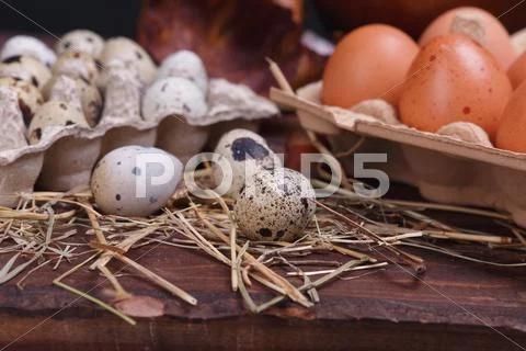 Different eggs Fotos de archivo