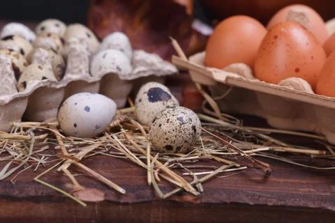 Different eggs Stock Photos