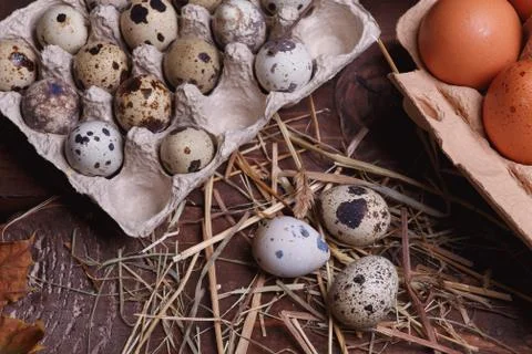 Different eggs Stock Photos