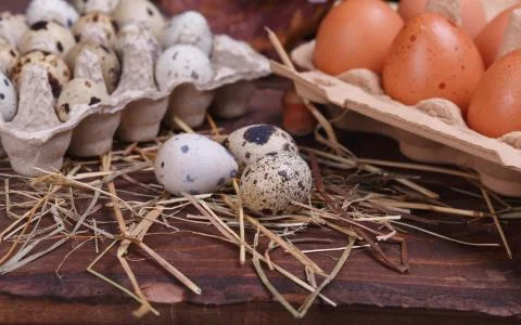 Different eggs Stock Photos