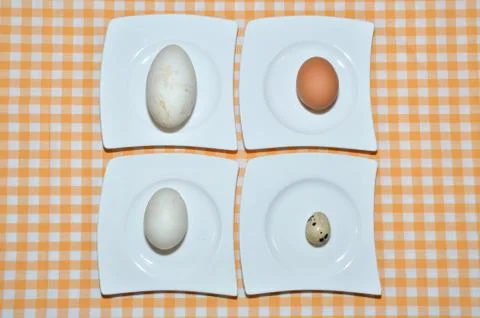 Different eggs Stock Photos