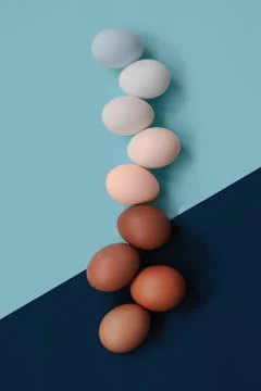 Different eggs in shape and color. Stock Photos