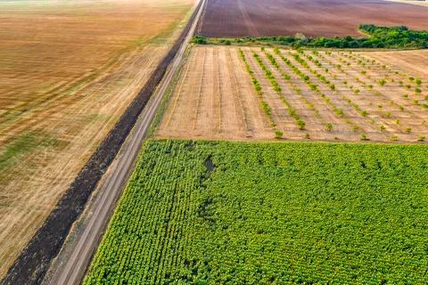 Different fields Stock Photos