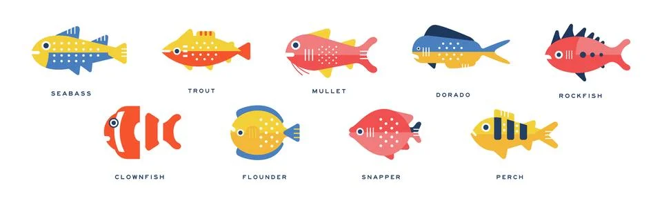 Different Fish Flat Icon with Name Vector Set Stock Illustration