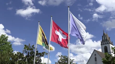 Different flags blowing in the wind, yellow and black meilen flag, swiss flag Stock Footage 206116187