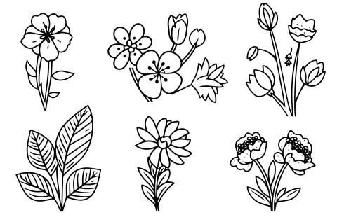 Different flower hand drawn ink sketch. Engraved style vector illustration. Stock Illustration