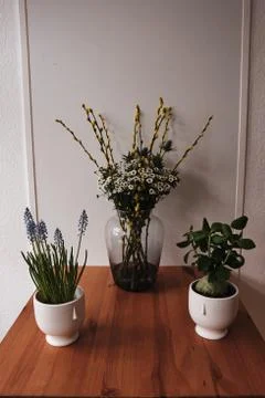 Different flower stand on the table, one the left side stand some Lavandula Stock Photos
