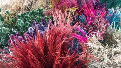 Different flowers Stock Footage 144400860