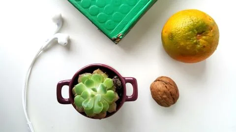 Different food and drink objects on stone and wood background Stock Photos