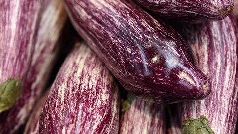 Different footages of large amount of zero-carbon organic fresh vegetables Stock Footage 103963057