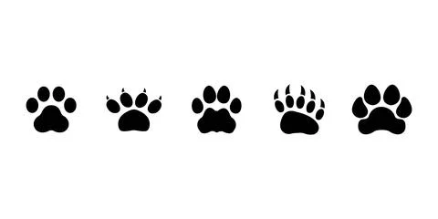 Different footprints of big cats. Leopard illustration set Stock Illustration