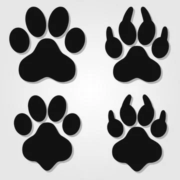 Different footprints of big cats set. Stock Illustration