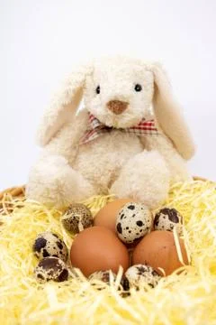 Different fresh eggs and Easter Bunny Stock Photos