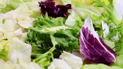 Different fresh green and red lettuce cut salad leaves circle rotation close up Stock Footage 233500318