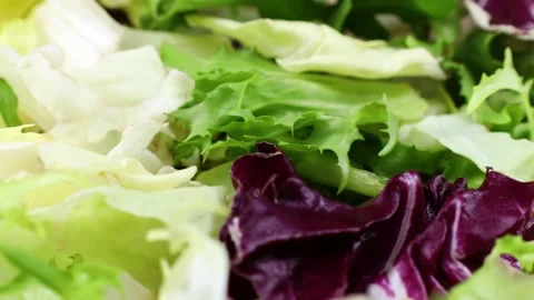 Different fresh green and red lettuce cut salad leaves circle rotation close up Stock Footage 233500396