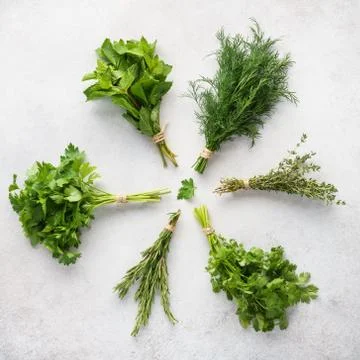 Different fresh herbs on gray background. Healthy ingredients. Stock Photos