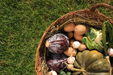 Different fresh ripe vegetables in wicker basket on grass, top view. Space .. Stock Photos
