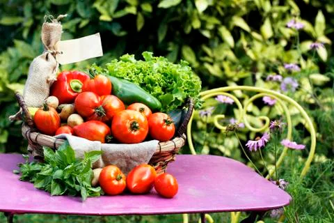 Different fresh vegetables Foto stock