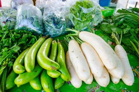 Different fresh vegetables Stock Photos