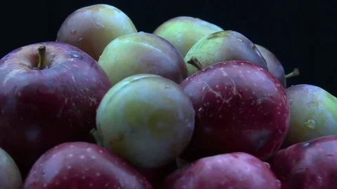 Different fruits 스톡 동영상 79727719