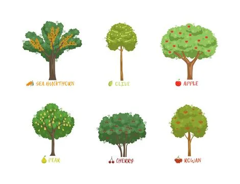 Different Garden Berry Shrubs Sort with Name Inscription Vector Set Stock Illustration