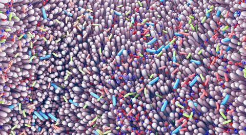 Different germs in the human intestines called microbiome - 3d illustration Illustrazione stock